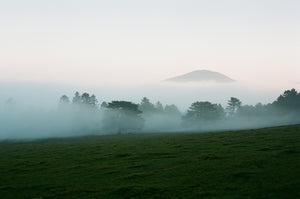 Alternate shot of green field shrouded in cool mist making a horizontal gradient of pale yellow to blue green.